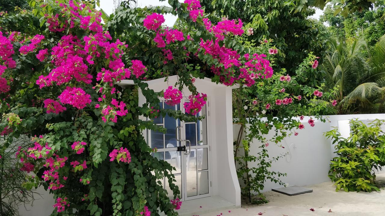 Athiriveli Hotel Thoddoo Bagian luar foto